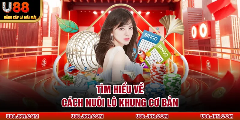 Tìm hiểu về cách nuôi lô khung cơ bản